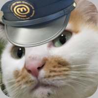 MOMO navi icon