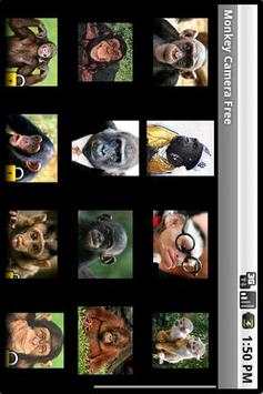 Monkey Camera Free screenshot 1