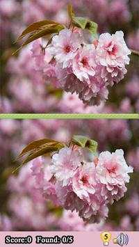 Find Difference Games Between two Pictures screenshot 5