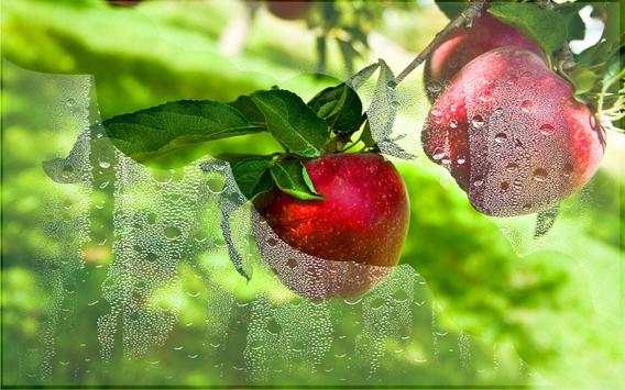 Apples live wallpaper screenshot 6