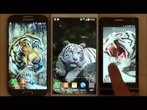 Tiger Live Wallpaper screenshot 1
