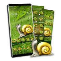 Cute Snail Launcher Theme on 9Apps
