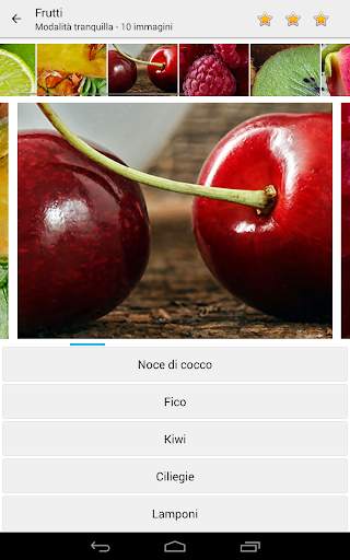 Foto Quiz - Indovina immagini screenshot 6