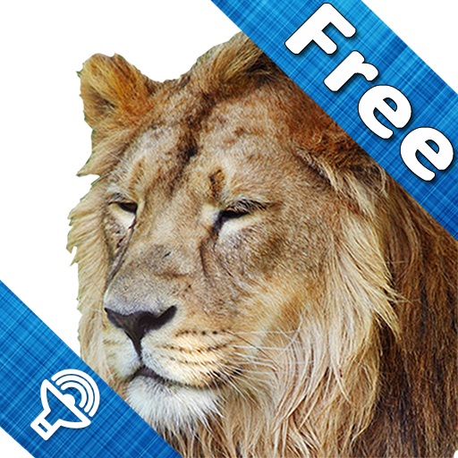 Kids Zoo, animal sounds &amp; pictures, games for kids icon