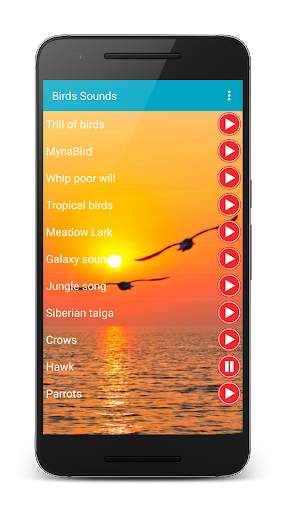 Birds Calls Sounds Ringtones स्क्रीनशॉट 3