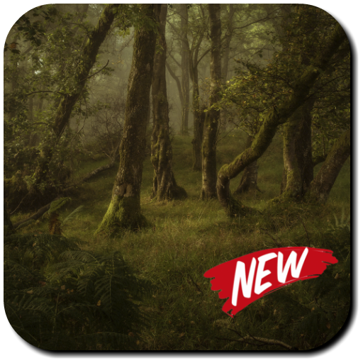 Woodland Wallpaper icon