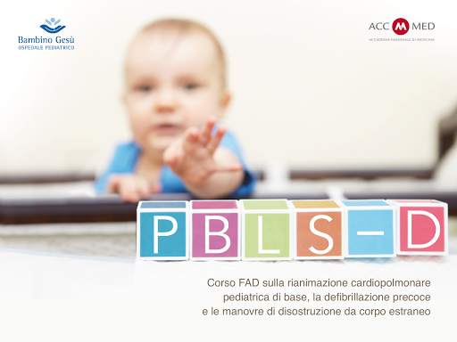 PBLS-D Lite screenshot 1