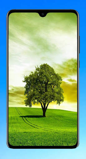 Tree Wallpaper 4K screenshot 6
