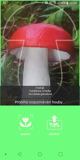 Aplikace na houby screenshot 3