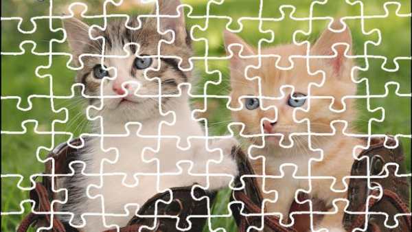 Cat Jigsaw Puzzle King screenshot 4