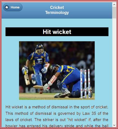 Cricket Language &Terminology screenshot 15