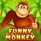 Funny Monkey Slot 1.0.5