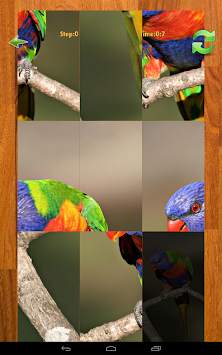 Bird puzzle game screenshot 5
