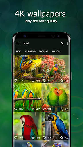 Parrot Wallpapers PRO screenshot 1