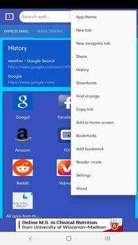 Eagle web browser screenshot 3