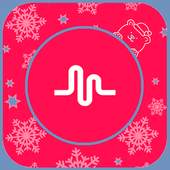 Filters&Transactions of Musical.ly 9.2