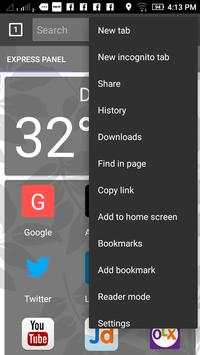 Maina Web Browser screenshot 4