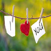 I Love you Wallpaper 1.0