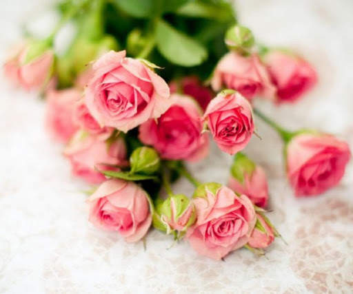 Pink Rose Wallpapers screenshot 1