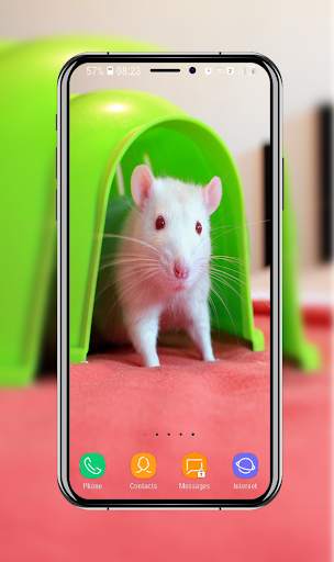 Cute Hamster Wallpaper screenshot 16