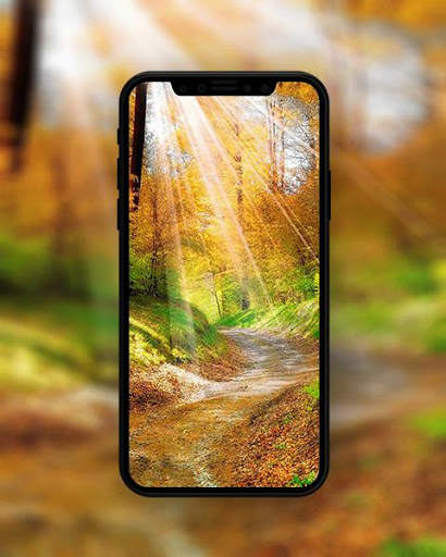 Autumn Wallpaper screenshot 5