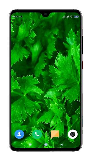 Green Wallpaper HD screenshot 12