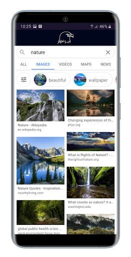Eagle Browser screenshot 3