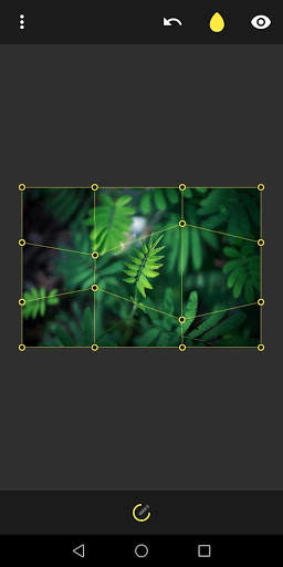 Image Warp - Grid Modifier 7 تصوير الشاشة