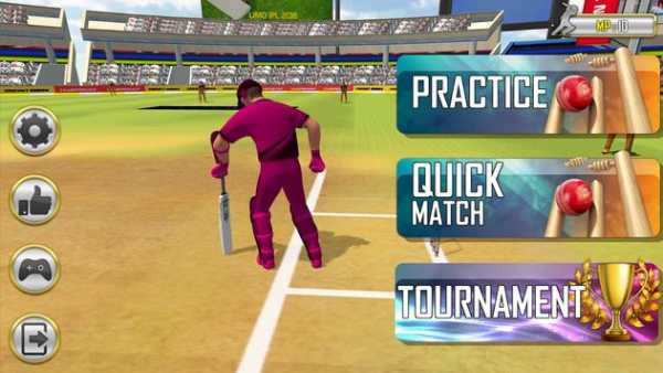 T20 Cricket Last Over screenshot 4