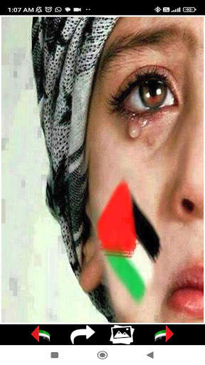 Palestine Wallpapers HD 2024 screenshot 3