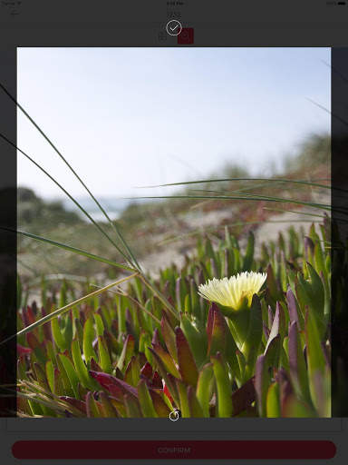 FOTOSPRINT screenshot 8