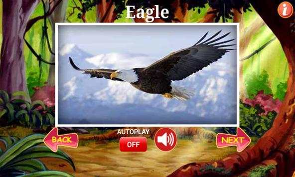 Birds Quiz स्क्रीनशॉट 5