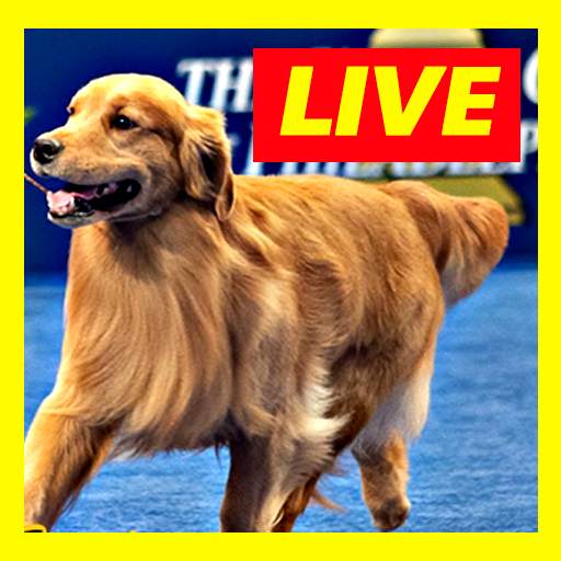 Watch Dog Show Live Stream FREE 1.0