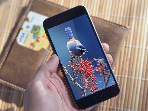Birds Wallpaper HD Lockscreen screenshot 5