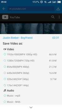 KeepVid screenshot 2