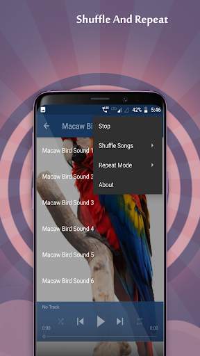 Macaw Bird Sounds screenshot 4