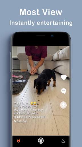 PET MEOMEO - Funny cat, dog viral videos screenshot 3