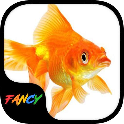 Gold Fish Fancy Keyboard Theme 1.0