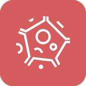 Biomedical Engineering 1.7