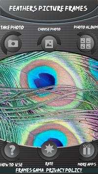 Feathers Picture Frames screenshot 3