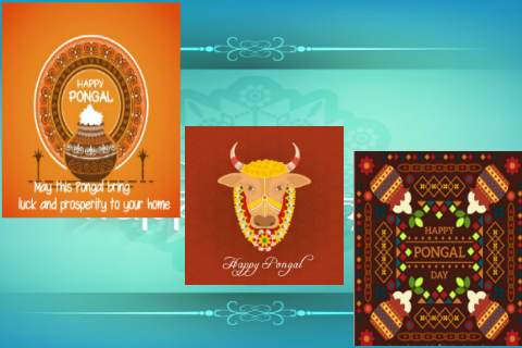 Happy Pongal screenshot 3