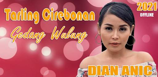 Dian Anic Mp3 Full Album Offline 2021 screenshot 4