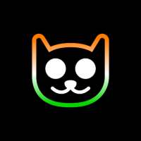 ggTV Battlegrounds Mobile India Recorder Videos