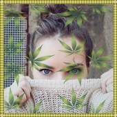 Weed Effects Photo Editor & Background Change 1.0