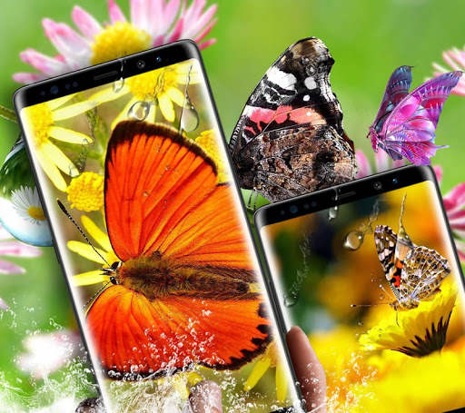 Butterflies Magic Touch screenshot 4