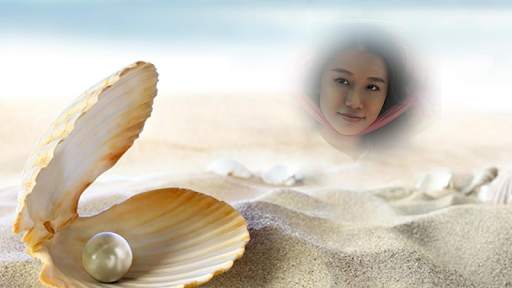 กรอบรูปเปลือกหอย ชายหาด แต่งรูปสวยๆ screenshot 6