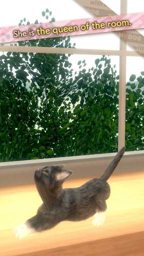 with My CAT screenshot 2