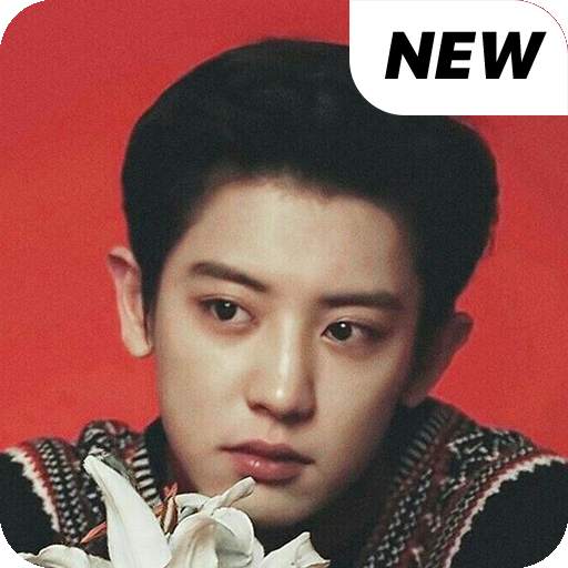 EXO Chanyeol wallpaper Kpop HD new 1.0