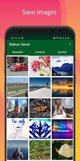 Save Status - Download Status screenshot 1