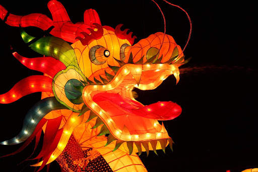 Dragon Photo Frames screenshot 6